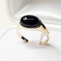 Onyx2