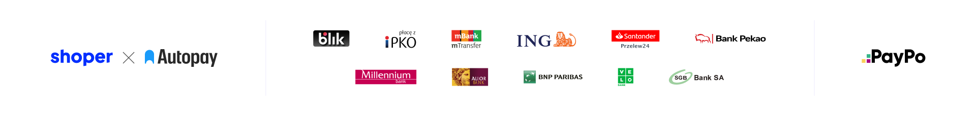 rodzaje płatności online autopay